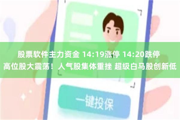 股票软件主力资金 14:19涨停 14:20跌停 高位股大震荡！人气股集体重挫 超级白马股创新低