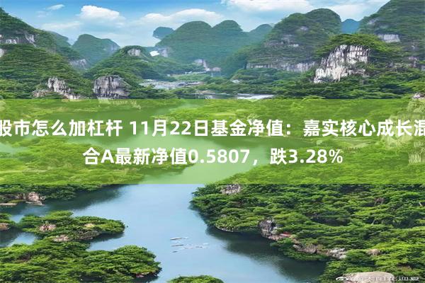 股市怎么加杠杆 11月22日基金净值：嘉实核心成长混合A最新净值0.5807，跌3.28%