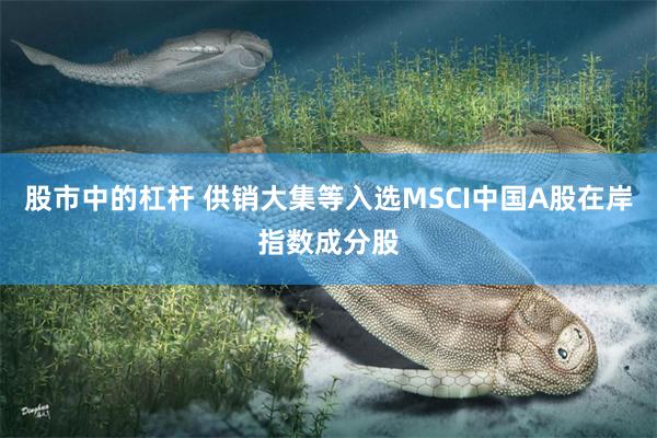 股市中的杠杆 供销大集等入选MSCI中国A股在岸指数成分股