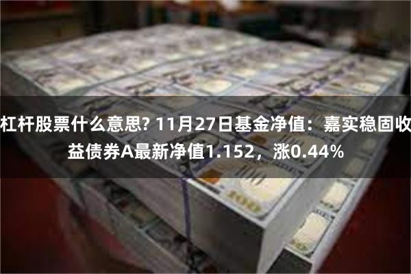 杠杆股票什么意思? 11月27日基金净值：嘉实稳固收益债券A最新净值1.152，涨0.44%