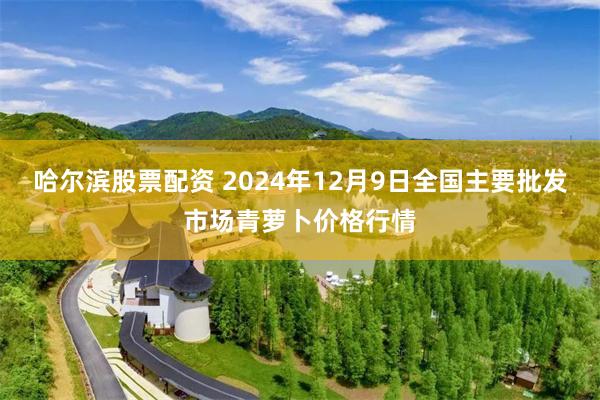 哈尔滨股票配资 2024年12月9日全国主要批发市场青萝卜价格行情