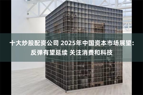 十大炒股配资公司 2025年中国资本市场展望：反弹有望延续 关注消费和科技