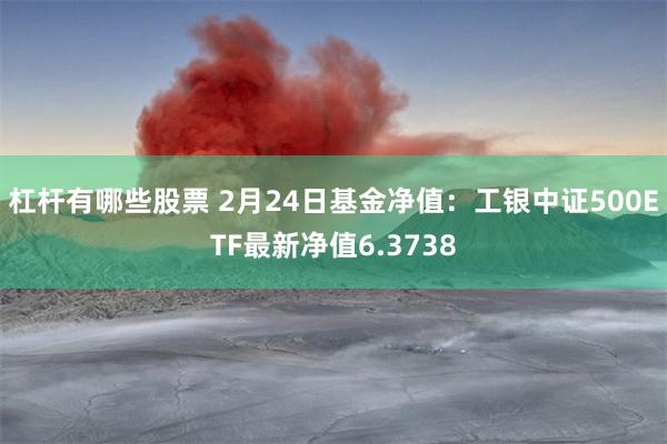 杠杆有哪些股票 2月24日基金净值：工银中证500ETF最新净值6.3738